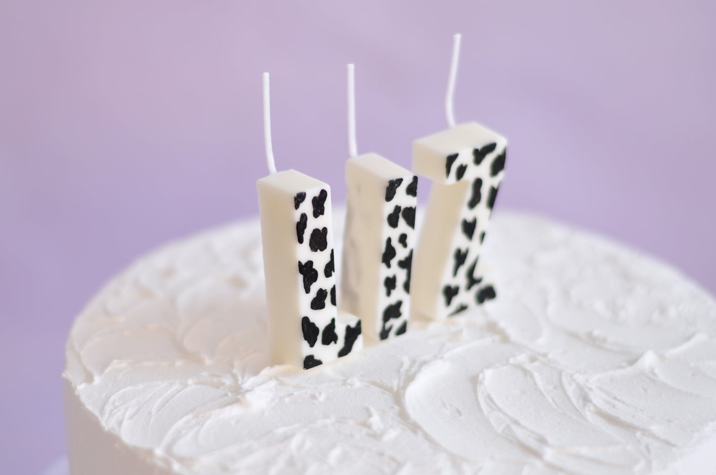 The Cow Print